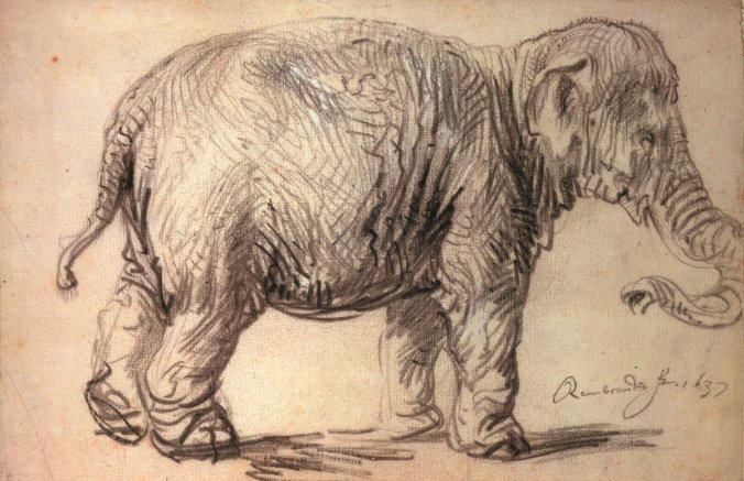 olifant, rembrandt
